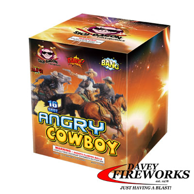 Angry Cowboy